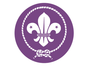 World scout movement Logo