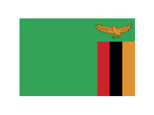 Zambia Logo