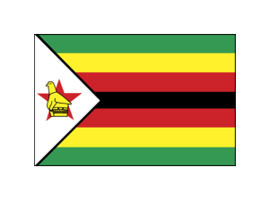 Zimbabwe Logo