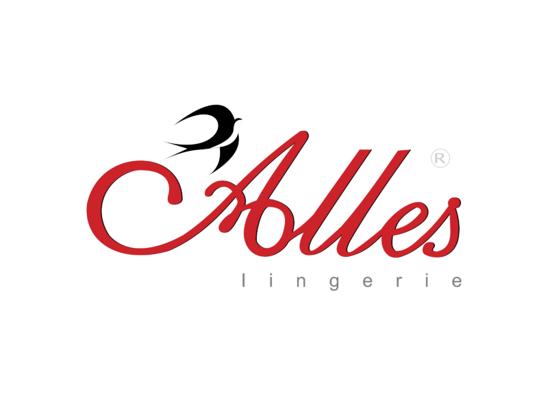 WHAT DOES ALLES MEAN HERE visual data 4