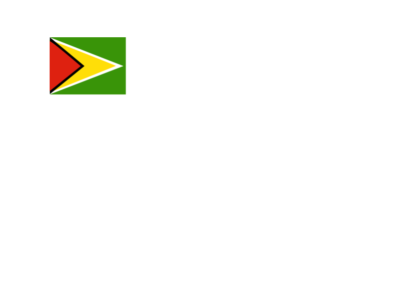 Flag Of Guyana Logo Png Transparent Svg Vector Freebie