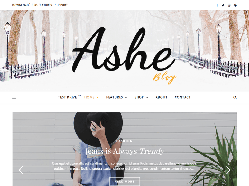 Ashe - Free Business WordPress Theme Screenshot