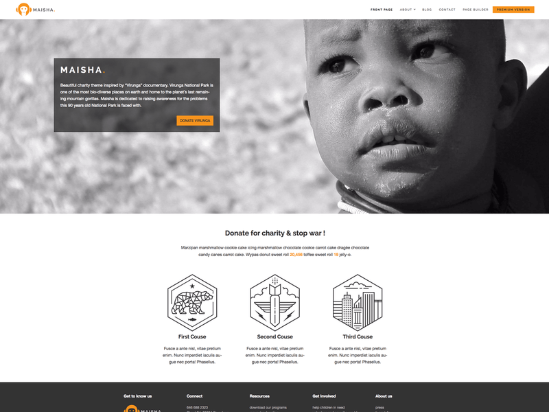 Maisha Lite - Free WordPress Theme Screenshot
