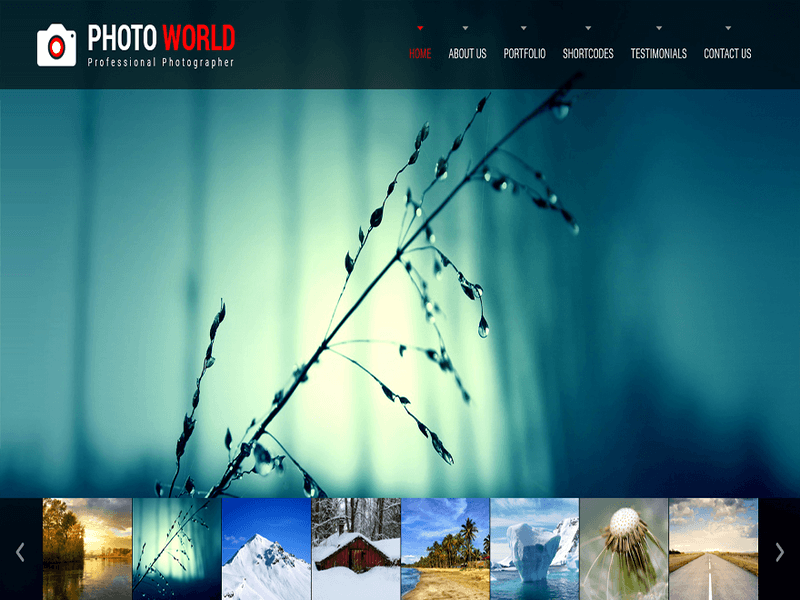 SKT Photo World - Free Ecommerce WordPress Theme Screenshot