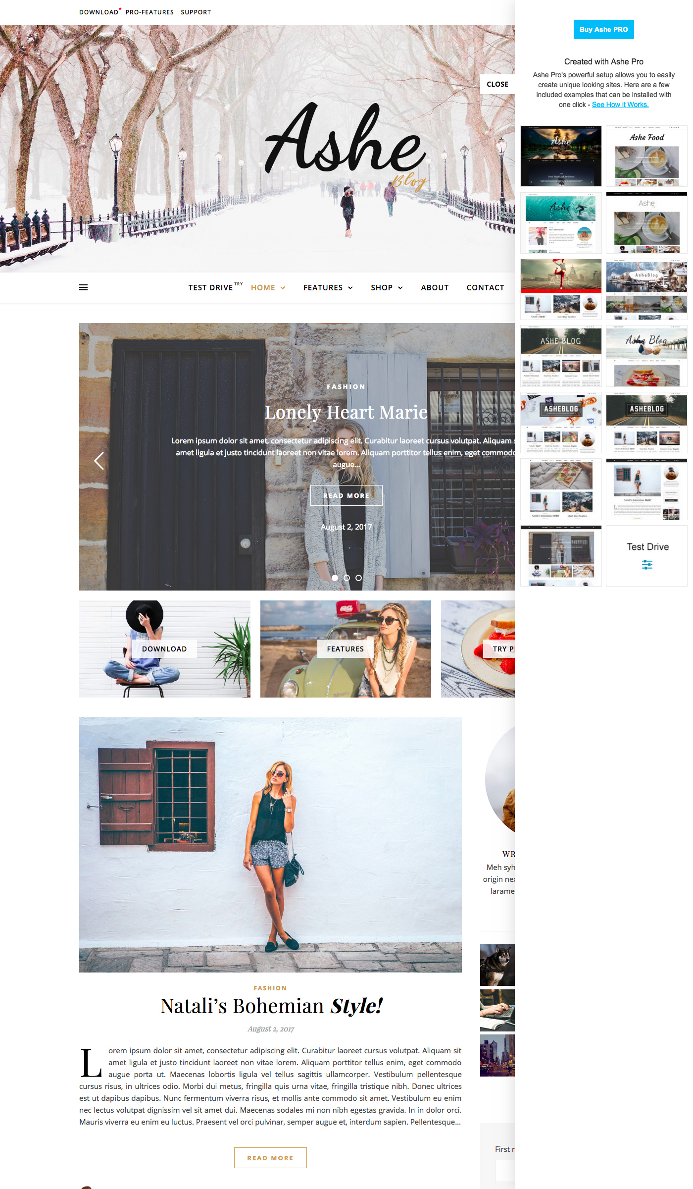 Ashe - Free Business WordPress Theme Large Preview