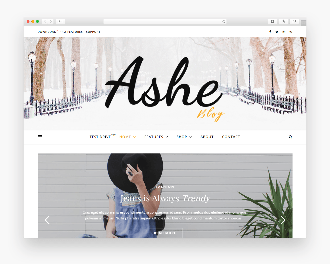 Ashe - Free Business WordPress Theme In Browser
