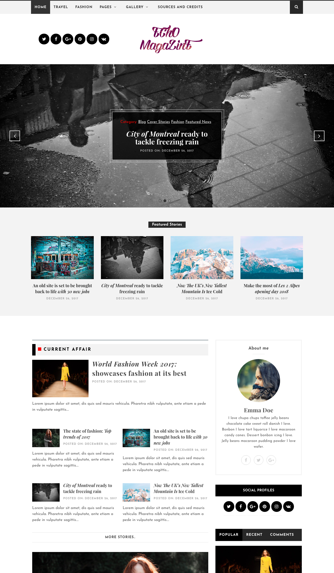 Echo Magazine - Free Magazine WordPress Theme Large Preview