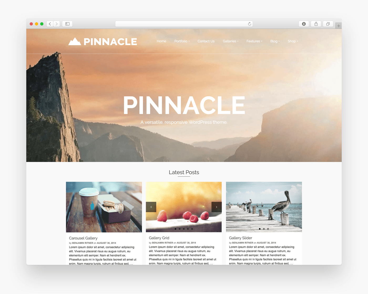 pinnacle free ecommerce wordpress