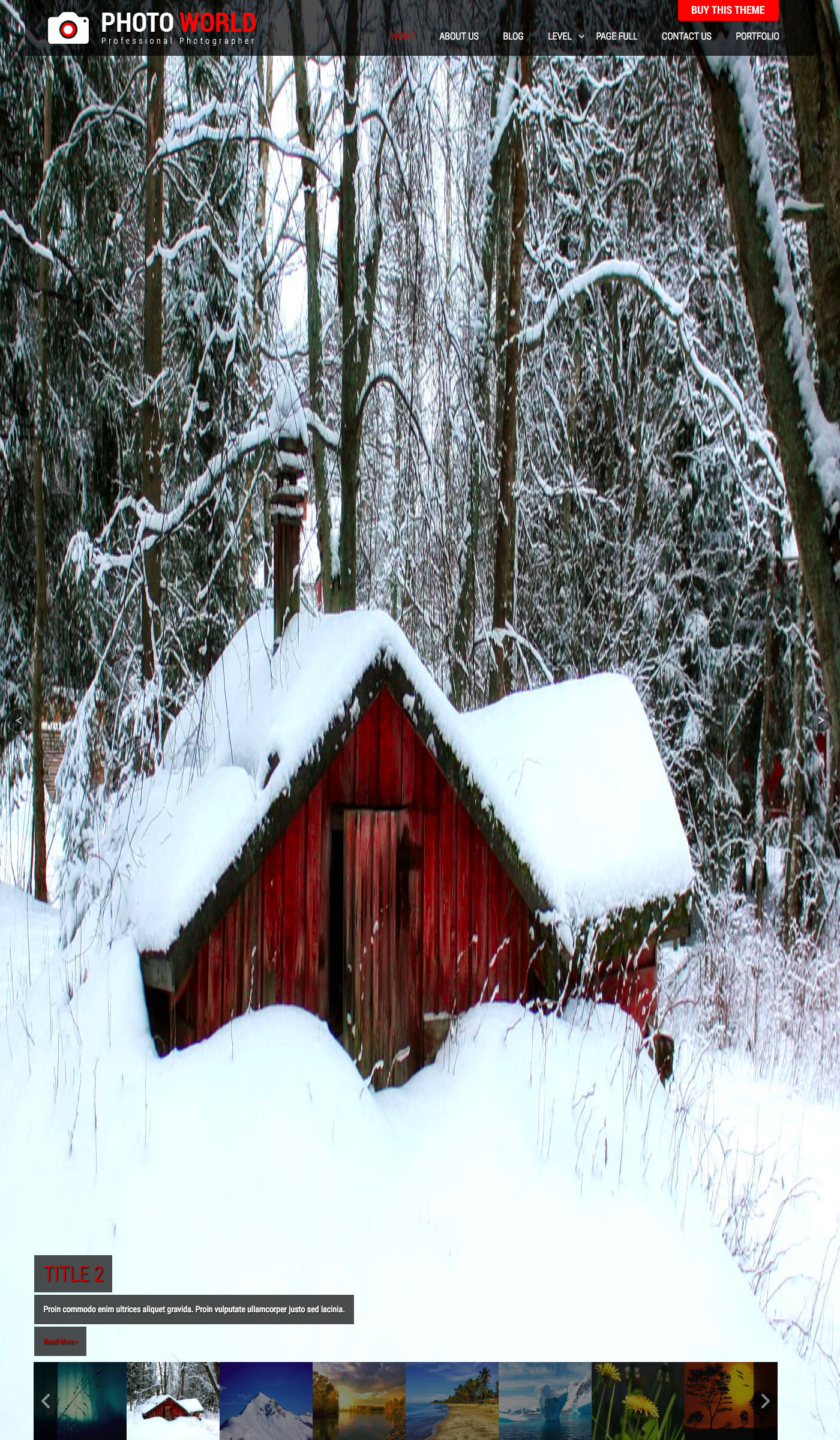 SKT Photo World - Free Ecommerce WordPress Theme Large Preview