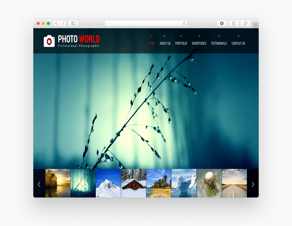 SKT Photo World - Free Ecommerce WordPress Theme In Browser