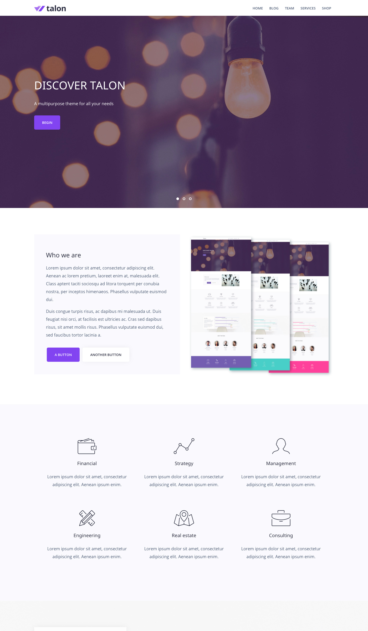 talon wordpress theme