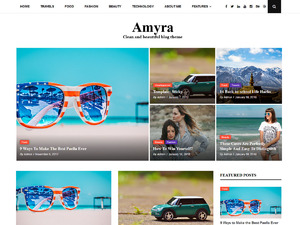 Amyra Lite – Free Agency WordPress Theme