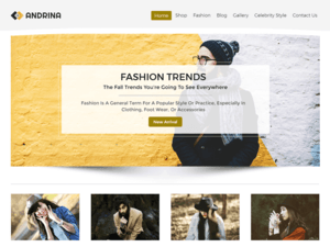 Andrina Lite – Free Ecommerce WordPress Theme