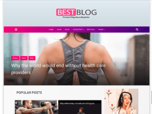 Best blog – Free Portfolio WordPress Theme