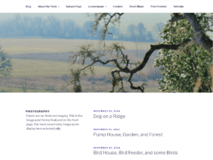 Dynamic Seventeen – Free WordPress Theme