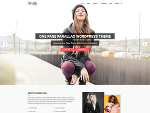 Flexible One – Free Agency WordPress Theme