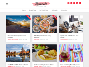 Marinate – Free Business WordPress Theme
