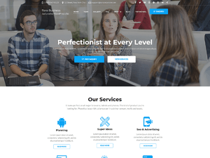 Rara Business – Free Ecommerce WordPress Theme
