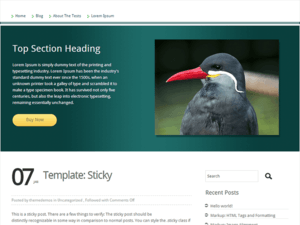 ToomMorel Lite – Free Business WordPress Theme